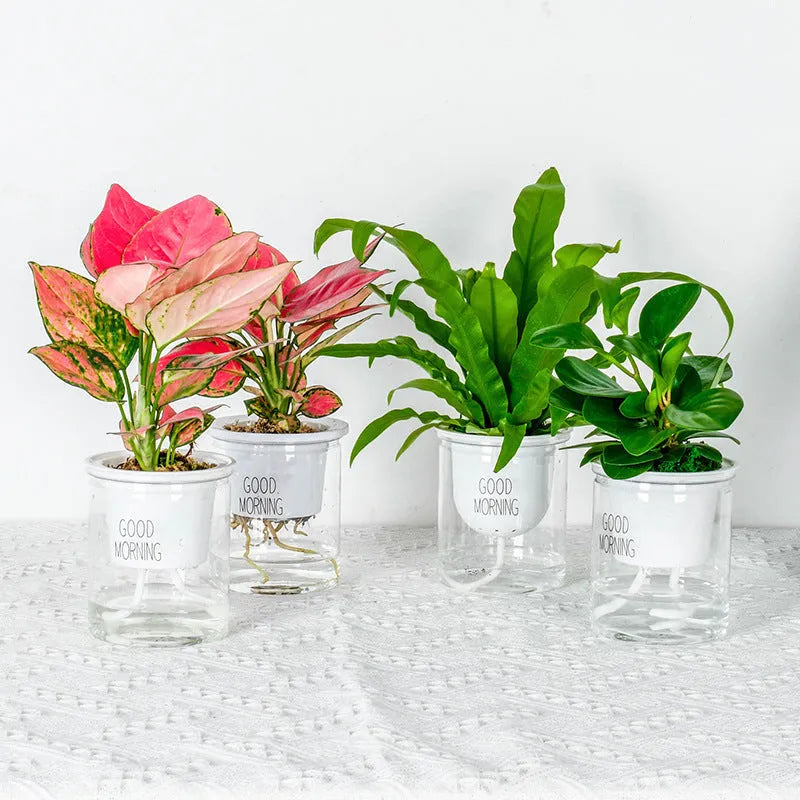 Double Tier Hydroponic Epipremnum Aureum Self-watering Flowerpot Home Decor Double Tier Visual Water Level Flowerpot - Bellarte Enchanté Double Tier Hydroponic Epipremnum Aureum Self-watering Flowerpot Home Decor Double Tier Visual Water Level Flowerpot